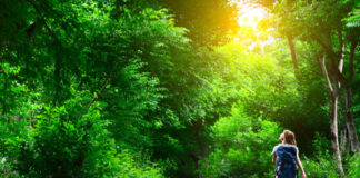 A Importância da Preservação da Natureza para o Futuro do Planeta