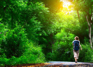 A Importância da Preservação da Natureza para o Futuro do Planeta