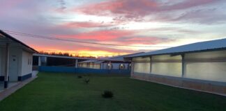 BB e FutureCarbon destravam créditos de carbono no agronegócio