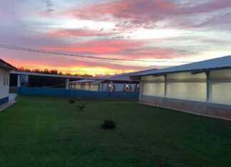 BB e FutureCarbon destravam créditos de carbono no agronegócio