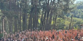 Jones Donizette: A Esperança de Itapecerica da Serra para Romper com 40 Anos de Hegemonia Política