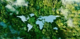 A Future Climate quer financiar a descarbonização no Brasil. E abre operações no Oriente Médio e na Ásia