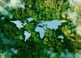 A Future Climate quer financiar a descarbonização no Brasil. E abre operações no Oriente Médio e na Ásia