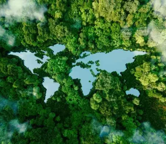 A Future Climate quer financiar a descarbonização no Brasil. E abre operações no Oriente Médio e na Ásia